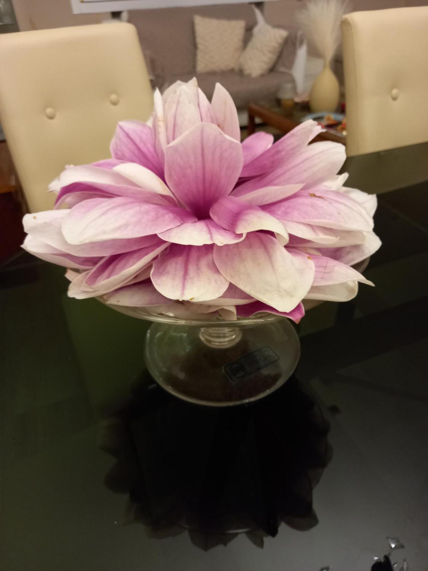 Fausto&Deby Apartment Oriago 外观 照片